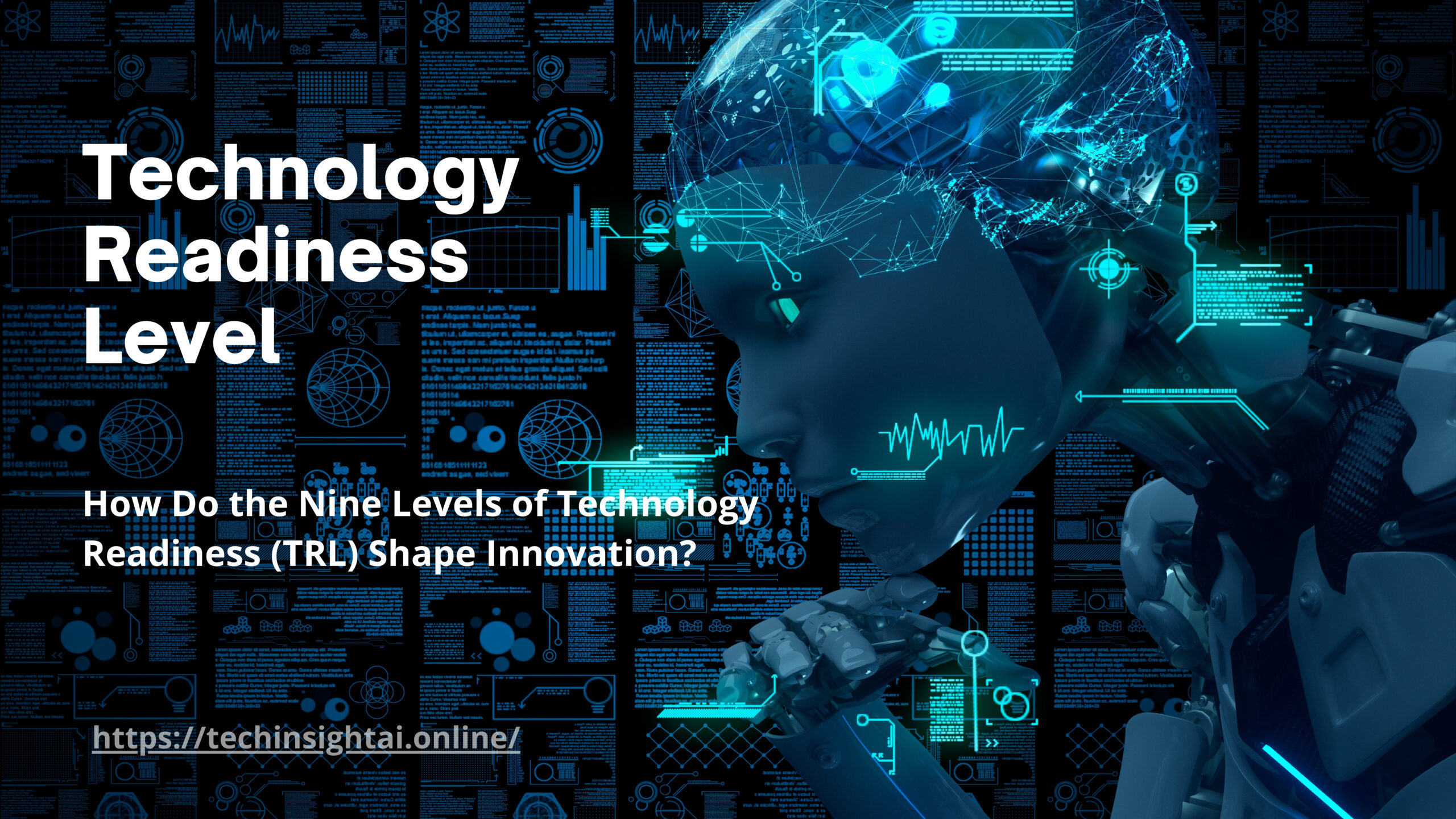 Technology Readiness Level
